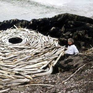 Rivers and Tides: Andy Goldsworthy With Time (2001) photo 1