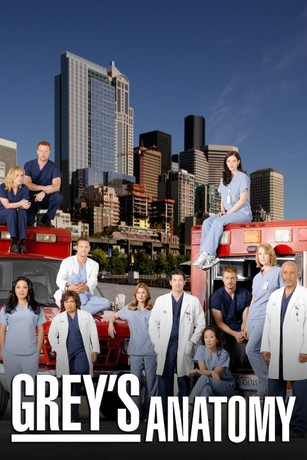 Grey's anatomy season 6 new arrivals episode 15 full episode
