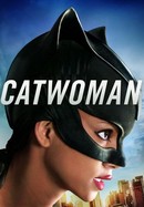 Catwoman poster image