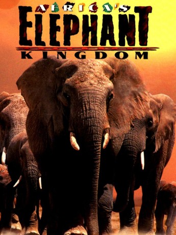 その他 Africa&#39;s Elephant Kingdom [DVD] Amazon.com: Africa's Elephant Kingdom (Large Format) [DVD