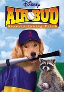 Air Bud: Seventh Inning Fetch poster image