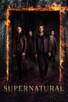 Poster for 