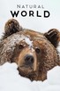 Poster for