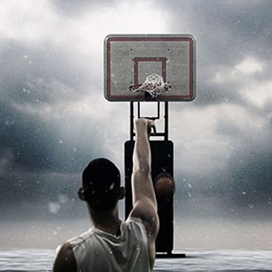 Linsanity Rotten Tomatoes