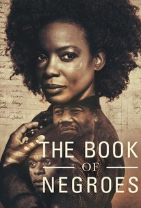 The Book of Negroes: Season 1 poster image