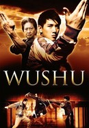 Wushu poster image