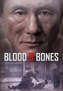Blood and Bones poster image