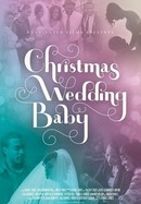 Christmas Wedding Baby poster image