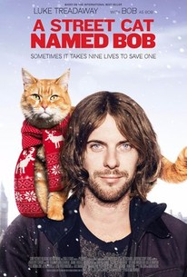 A Street Cat Named Bob | Rotten Tomatoes