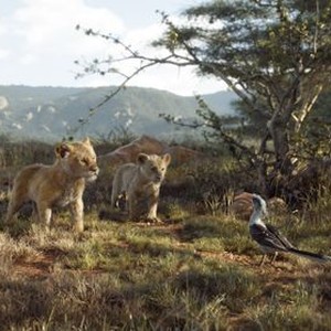 The Lion King photo 3