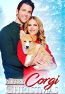 A Very Corgi Christmas poster image