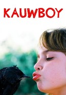 Kauwboy poster image