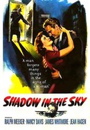 Shadow in the Sky poster image