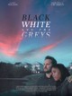 Black White and the Greys