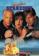 Another Stakeout poster image
