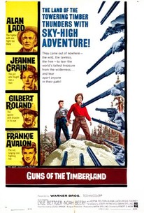 Poster for Guns of the Timberland