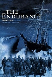 The Endurance (2001) - Rotten Tomatoes