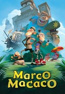Marco Macaco poster image