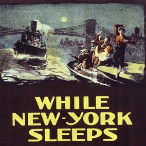 While New York Sleeps photo 5