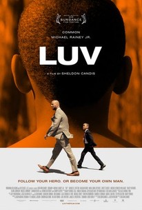 Poster for Luv
