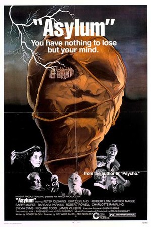 Asylum poster