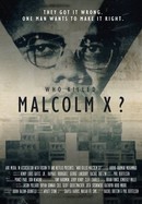 Who Killed Malcolm X? poster image