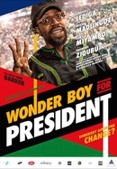 Wonder Boy for President poster image
