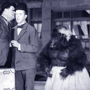 The Chimp (1932) photo 5