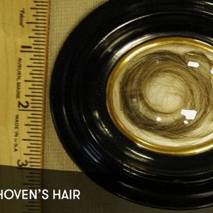 Beethoven's Hair photo 5