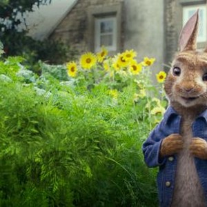 Peter Rabbit (2018) photo 7