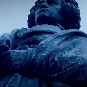In Search of Beethoven (2009) photo 10