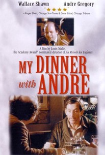 Image result for my dinner with andre