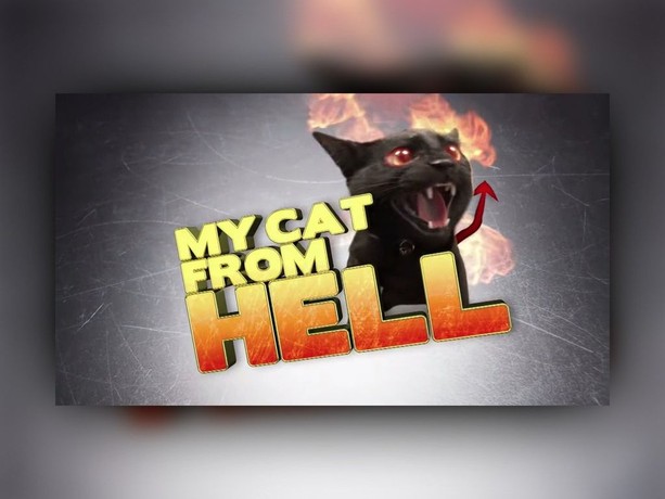 My cat from hell season 6 shop episode 5