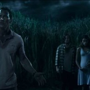 In The Tall Grass Review: A Mess Of A Horror Film