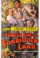 Jungle Jim in the Forbidden Land poster image