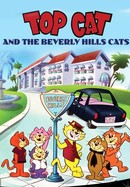 Top Cat and the Beverly Hills Cats poster image