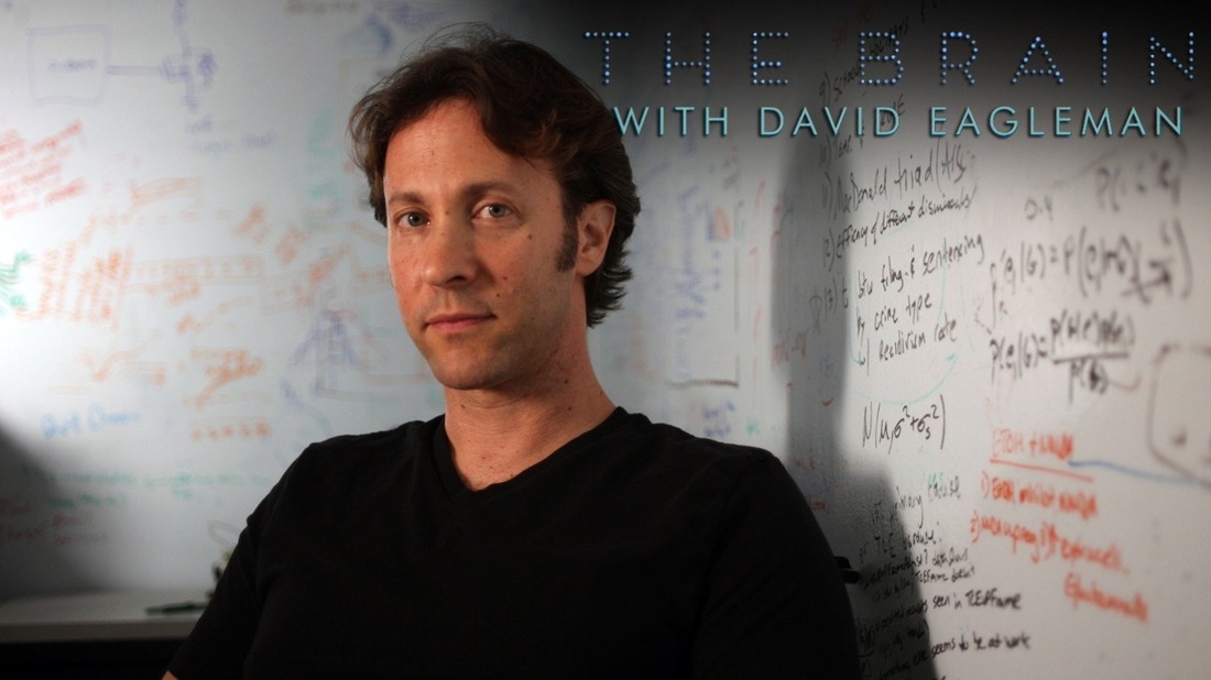 The Brain With David Eagleman: Season 1