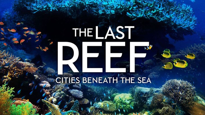 The Last Reef: Cities Beneath the Sea | Rotten Tomatoes