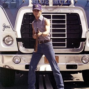 White Line Fever Rotten Tomatoes