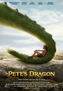 Pete's Dragon poster image