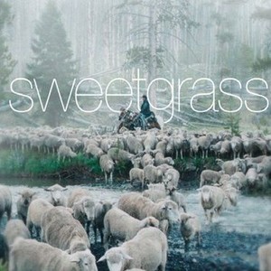 "Sweetgrass photo 9"