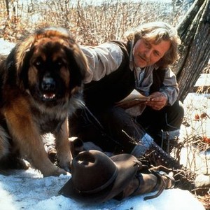 The Call Of The Wild Dog Of The Yukon 1997 Rotten Tomatoes