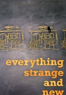 Everything Strange and New poster image