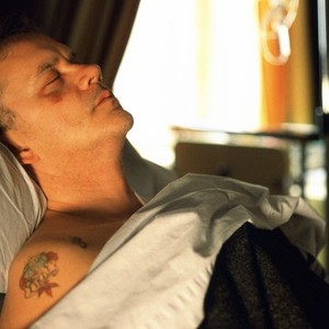 The Secret Life of Words Rotten Tomatoes