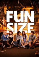 Fun Size poster image