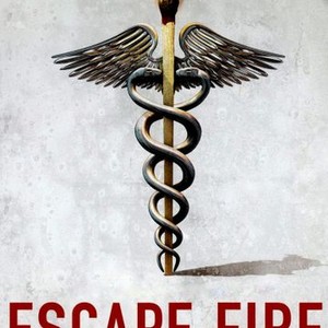 Escape Fire: The Fight to Rescue American Healthcare photo 11