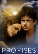 Promises poster image
