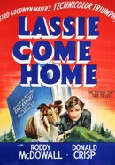 Lassie Come Home poster image