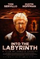 Into the Labyrinth