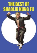 The Best of Shaolin Kung Fu poster image